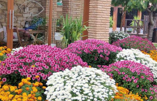 El Mirador De Ruidera - Foto 19