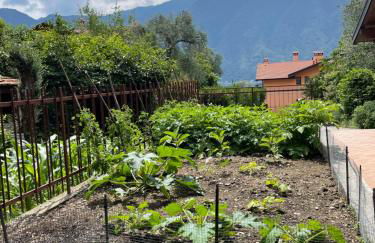 Family House - Foto 9