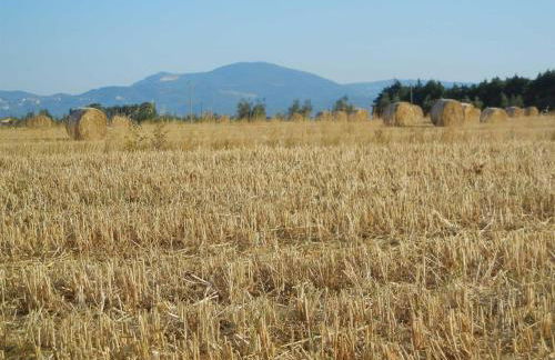 Azienda Agrituristica Le Betulle - Foto 75