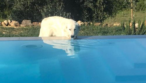 Agriturismo Campo al Crognolo - Foto 3