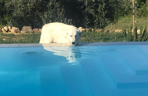 Agriturismo Campo al Crognolo - Foto 3