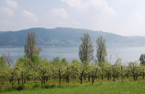 Merk Ferienwohnungen Gbr - Foto 14