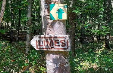 Ferien­wohnung Baumann - Foto 11