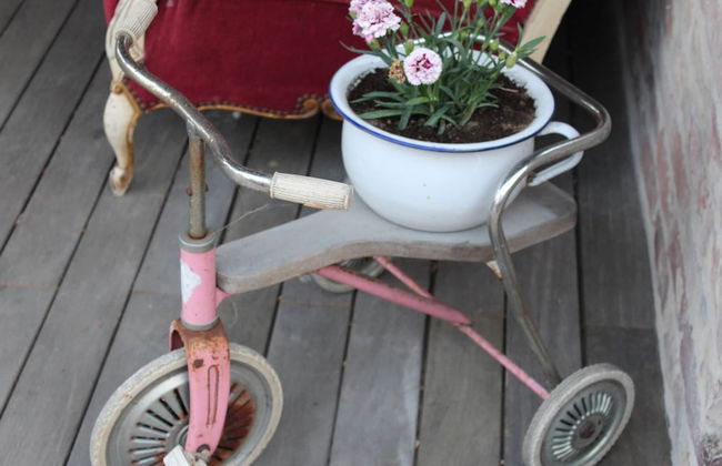 Wonderful Country House With Huge Garden - Photo 30