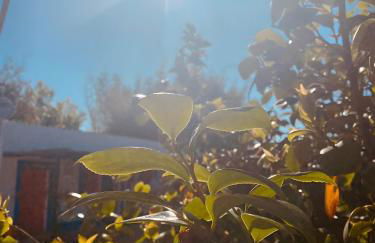 Baobab Moz Lodge - Foto 15