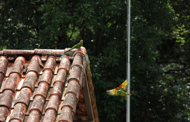 Paradisiacal Site in National Park - Foto 22