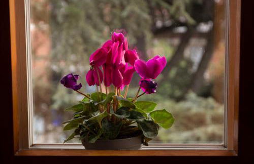 Casa Giuly - Foto 38