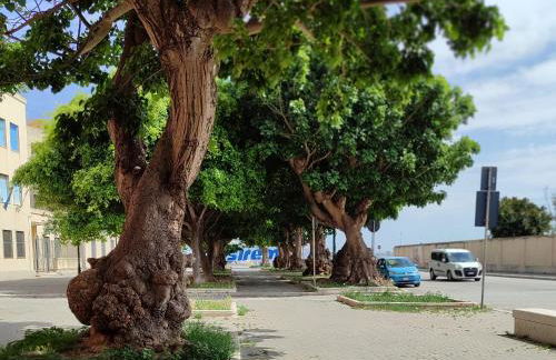 Alla Marina da Pina - Foto 3