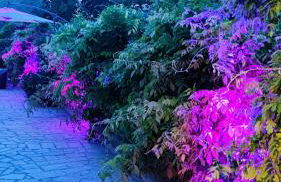 Residenza Bertolini - Foto 78