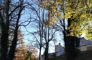 Charmant petit T2 au bord de l'Allier - Foto 7