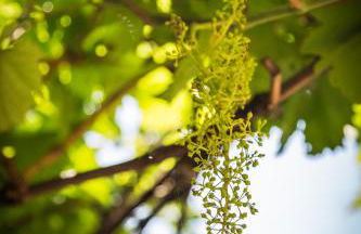 Appartamento Alvavista1 - Foto 22