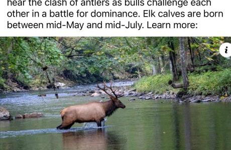 Twin Ponds Retreat-pond Hot Tub Fire Pit Game Room Pet Friendly - Foto 26