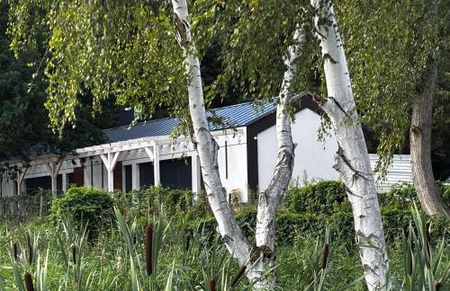 Dom Winna Górka - Foto 9