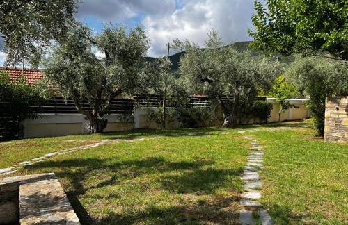 Villa Liana - Photo 7