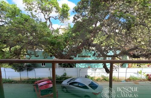 Refúgio Vista Bosque x Piscina - Foto 32