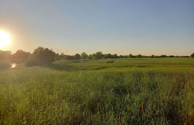 Holiday Home at the end of the Weser - Foto 13