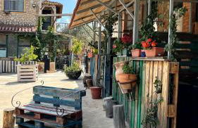 Agriturismo Villa Assunta - Foto 19