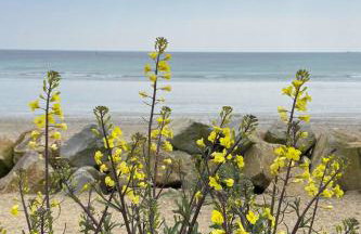 The Georgian Flat - Photo 7