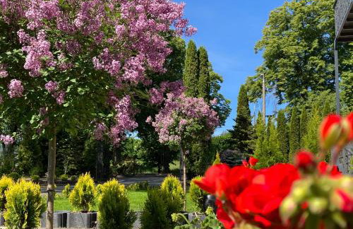 Apartamenty Arkadia przy Amfiteatrze - Foto 3