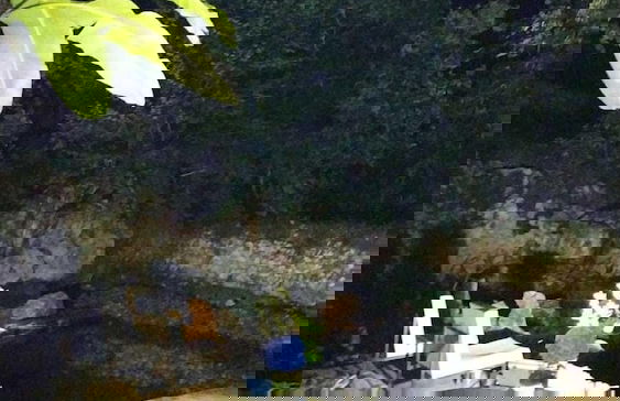 Bosque de Cuevas - Foto 56