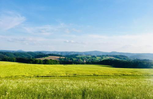 Ferienwohnung Hänel - Foto 19