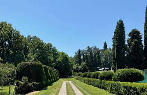 La finestra sul parco Croara Country Club - Photo 5