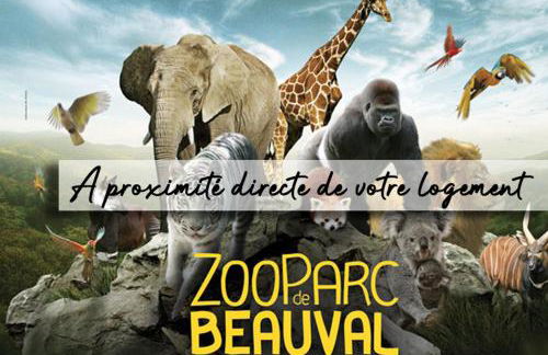 Loft Suite de luxe - Jacuzzi - SPA - Balnéo Vendôme - Foto 41