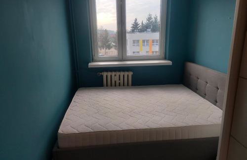 Piąteczka - Foto 10