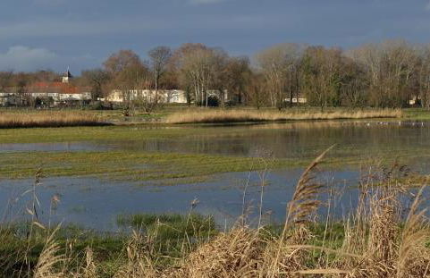 Landhaus Arcadia in Paretz - Foto 49