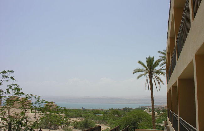 Thara Dead Sea - Foto 1