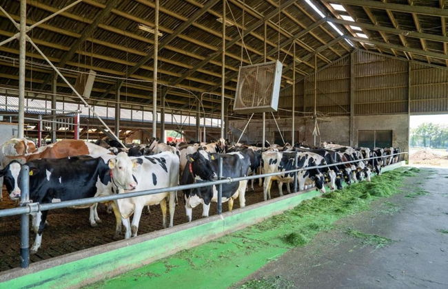 Farmhouse in Geesteren Near Golf Course - Photo 27