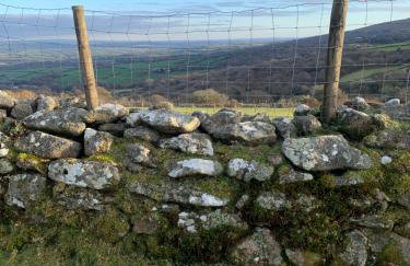 Field View - Foto 36