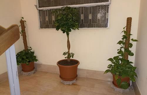 A&C Talenti Diamond - Foto 10