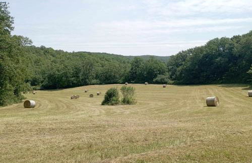 Gîte Périgord Dordogne Rocamadour Sarlat Cahors naturiste juin à sept - Photo 27
