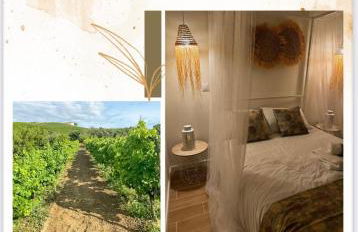 Maçussa Country House - Foto 11