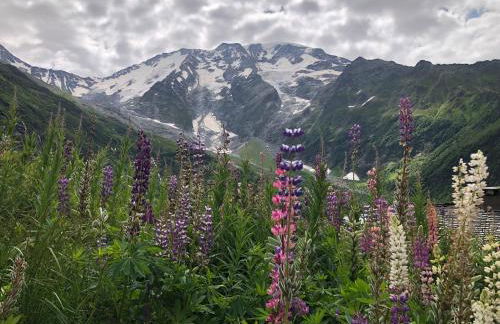 Chalet Rivière du Bon Nant Location de 6 à 14 personnes en Haute Savoie - Foto 43