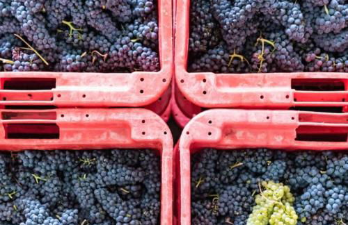 Les Deux Délices - Foto 50