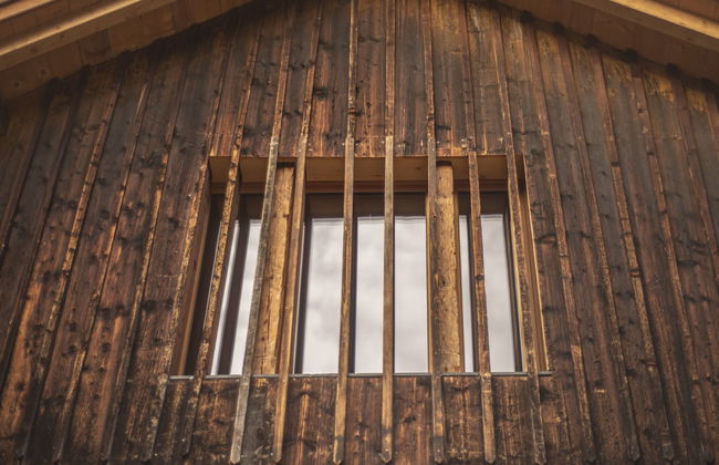 David am Buchhammerhof - Foto 35