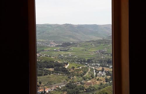 Quinta do Pombal Douro - Foto 38