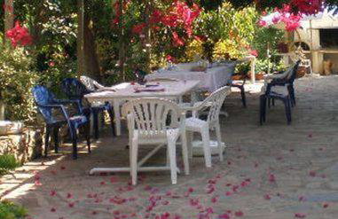 Sani Kasimis - Foto 29