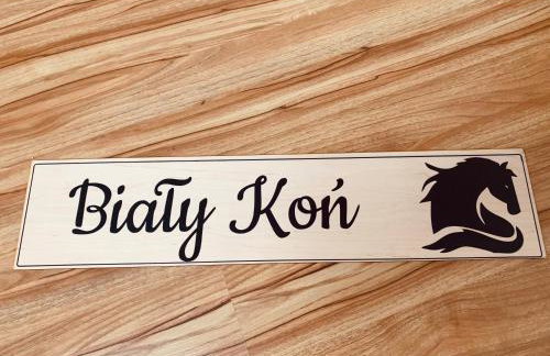 Czarny Koń i Biały Koń Black Horse & White Horse Apartamenty - Foto 14