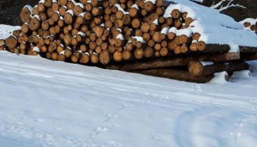 Ferienhaus Zur kleinen Kneipe - Foto 4