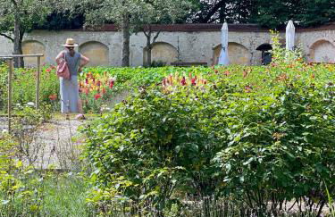 Ferienwohnung Ava - Heiligkreuztal - Foto 36