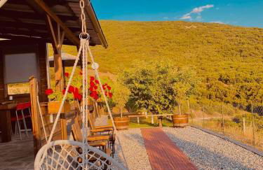 ΛΩΤΟΣ - Photo 31