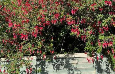 Peaceful centrally located, 2 Bedroom Bungalow. - Foto 26