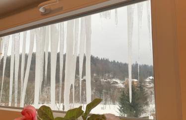 Ropienka ski micro - Foto 31