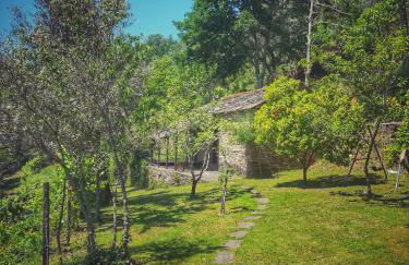 Quinta da Recochina - Foto 29