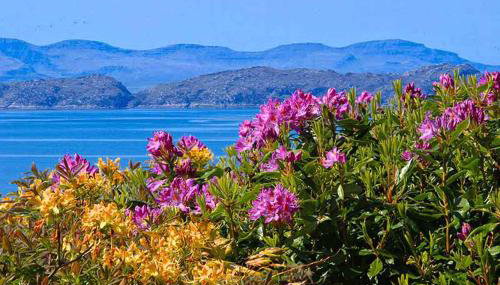 Airdaniar Cottage - Foto 3