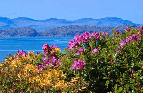 Airdaniar Cottage - Foto 3