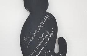 Studio neuf à proximité de Saint-Malo, à 2km des plus belles plages de la côte d'Emeraude - Foto 19